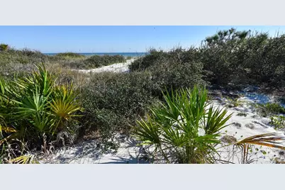2116 Sea Fern Way, Saint George Island, FL 32328 - Photo 3