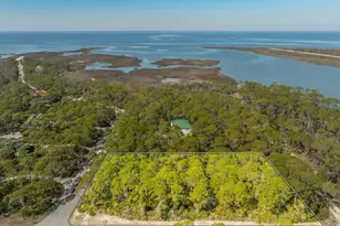1601 Forsythia Trail, Saint George Island, FL 32328 - Photo 1