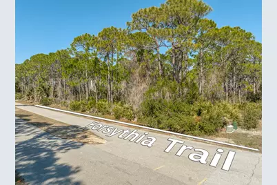 1601 Forsythia Trail, Saint George Island, FL 32328 - Photo 3