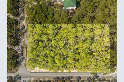 1601 Forsythia Trail, Saint George Island, FL 32328 - Photo 5