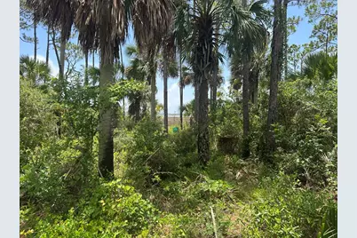 10432 Cr 30-A, Port Saint Joe, FL 32456 - Photo 7