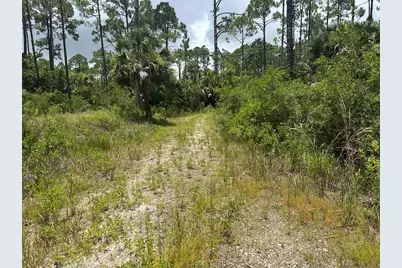 10432 Cr 30-A, Port Saint Joe, FL 32456 - Photo 9