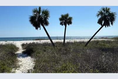 8890 Hwy 98 W, Port Saint Joe, FL 32456 - Photo 5