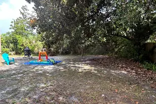 247 Selma St, Port Saint Joe, FL 32456 - Photo 33
