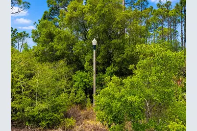 60 Piney Point Ln, Eastpoint, FL 32328 - Photo 5
