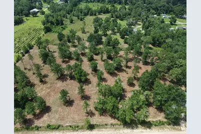 0 Corn Griffin St, Wewahitchka, FL 32465 - Photo 1