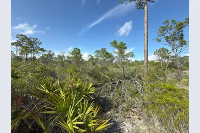 Lot A Adventure Ave, Port Saint Joe, FL 32456 - Photo 3