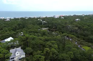1667 Forsythia Trail, Saint George Island, FL 32328 - Photo 55