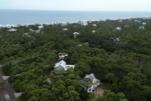 1667 Forsythia Trail, Saint George Island, FL 32328 - Photo 53