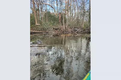 1350 Stone Mill Creek Rd, Wewahitchka, FL 32465 - Photo 21