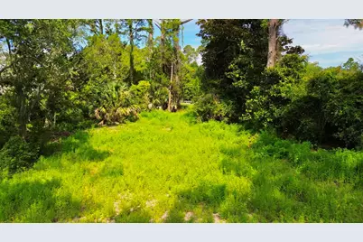 3206 Hwy 98 E, Carrabelle, FL 32323 - Photo 5
