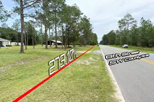10740 SW Cr 22, Sumatra, FL 32321 - Photo 17
