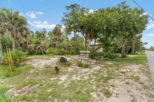 7355 Cr 30-A, Port Saint Joe, FL 32456 - Photo 53