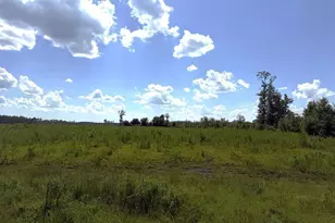 Lot 2 Hwy 71 S, Wewahitchka, FL 32465 - Photo 1