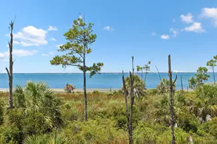 1033 E Pine Ave, Saint George Island, FL 32328 - Photo 27
