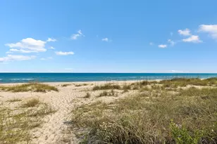 1033 E Pine Ave, Saint George Island, FL 32328 - Photo 71