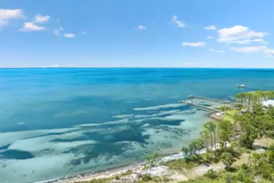1033 E Pine Ave, Saint George Island, FL 32328 - Photo 65