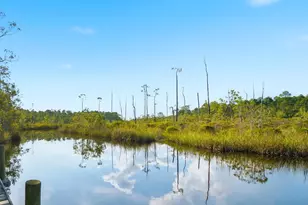 1921 Hwy 65, Eastpoint, FL 32328 - Photo 1