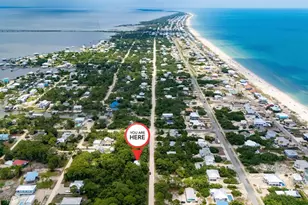 825 W Pine Ave, Saint George Island, FL 32328 - Photo 33