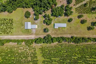 12730 SW Cr 275, Blountstown, FL 32424 - Photo 65