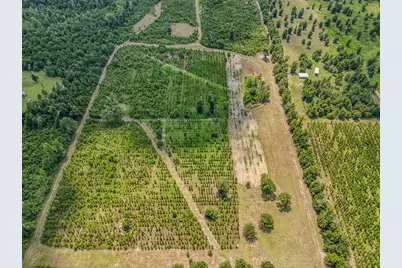 12730 SW Cr 275, Blountstown, FL 32424 - Photo 63