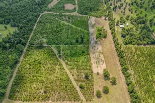 12730 SW Cr 275, Blountstown, FL 32424 - Photo 63