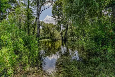 12730 SW Cr 275, Blountstown, FL 32424 - Photo 81