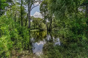 12730 SW Cr 275, Blountstown, FL 32424 - Photo 81