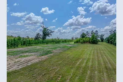 12730 SW Cr 275, Blountstown, FL 32424 - Photo 43