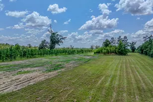 12730 SW Cr 275, Blountstown, FL 32424 - Photo 43