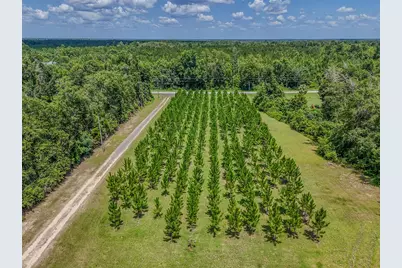 12730 SW Cr 275, Blountstown, FL 32424 - Photo 67