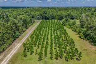 12730 SW Cr 275, Blountstown, FL 32424 - Photo 67