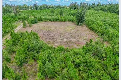 12730 SW Cr 275, Blountstown, FL 32424 - Photo 59