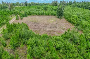 12730 SW Cr 275, Blountstown, FL 32424 - Photo 59