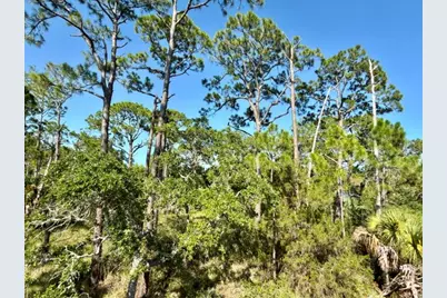 1028 Porter St #UNIT 5 BL 78, Saint George Island, FL 32328 - Photo 3