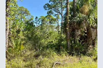 1028 Porter St #UNIT 5 BL 78, Saint George Island, FL 32328 - Photo 7
