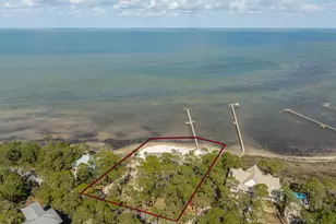 1419 Dove Ln, Saint George Island, FL 32328 - Photo 27