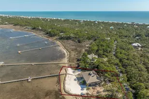 1419 Dove Ln, Saint George Island, FL 32328 - Photo 3