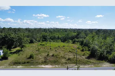 1522 Stone Mill Creek Rd, Wewahitchka, FL 32465 - Photo 1