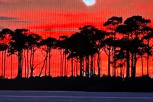 2904 Hidden Beaches Rd, Carrabelle, FL 32322 - Photo 39
