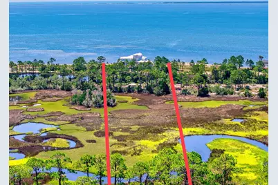 2904 Hidden Beaches Rd, Carrabelle, FL 32322 - Photo 85
