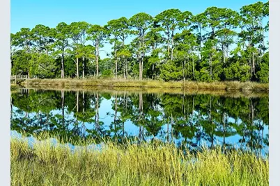 2904 Hidden Beaches Rd, Carrabelle, FL 32322 - Photo 9