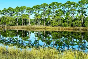2904 Hidden Beaches Rd, Carrabelle, FL 32322 - Photo 9