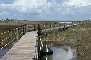1800 Denise Ct E, Saint George Island, FL 32328 - Photo 61