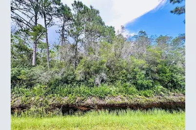 Lot 68S Peachtree Rd, Apalachicola, FL 32320 - Photo 9