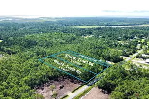 Lot 56N Peachtree Rd, Apalachicola, FL 32320 - Photo 1