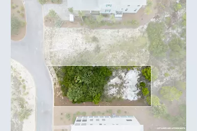 359 Cord Grass Way, Cape San Blas, FL 32456 - Photo 3