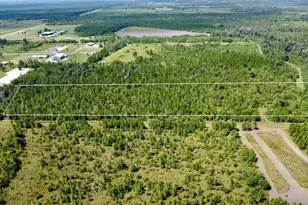 Tbd Harmony St, Wewahitchka, FL 32465 - Photo 1