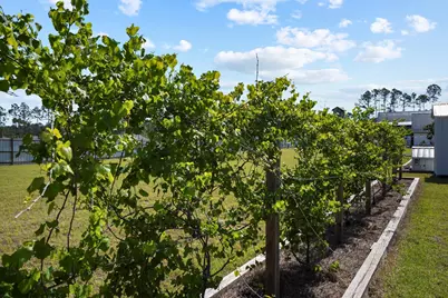 619 Jones Homestead Rd, Port Saint Joe, FL 32456 - Photo 53