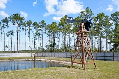 619 Jones Homestead Rd, Port Saint Joe, FL 32456 - Photo 67